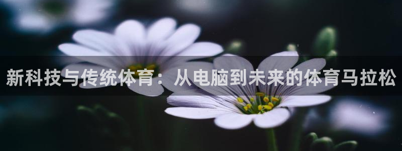 球客岛