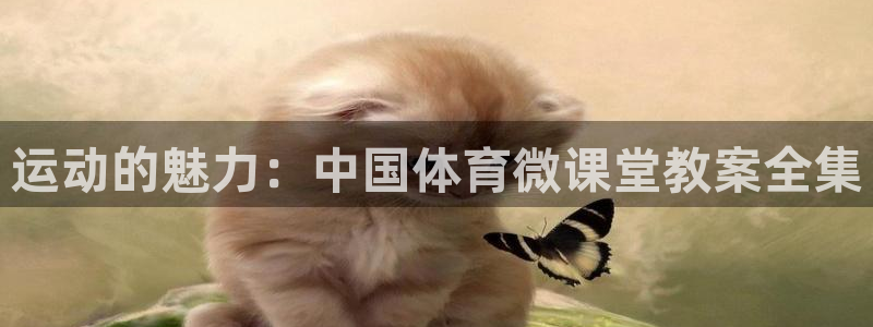 球客岛