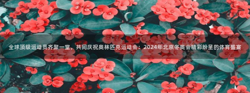 球客岛