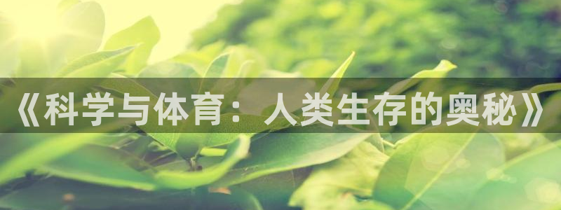 球客岛