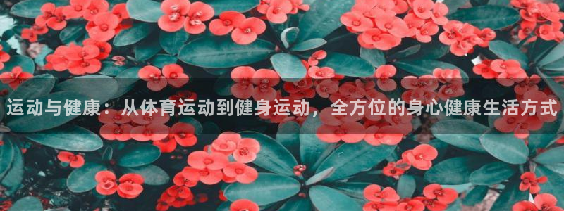 球客岛