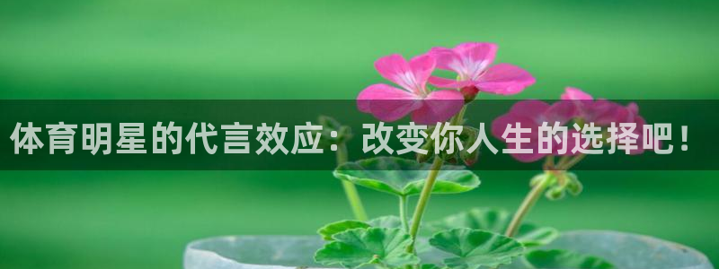 球客岛