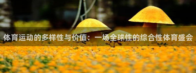球客岛
